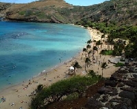 Hawaii Hunting