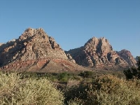 Nevada Hunting