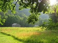 North Carolina Hunting