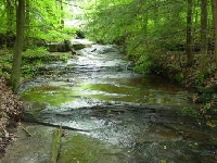 Pennsylvania Hunting