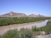 Texas Hunting