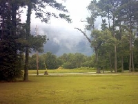 Alabama Hunting Land for Sale and Land for Lease in Alabama