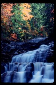 Connecticut Hunting Land for Sale and Land for Lease in Connecticut