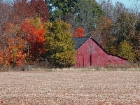 Indiana Hunting Land for Sale and Land for Lease in Indiana