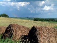 Iowa Hunting Land for Sale and Land for Lease in Iowa