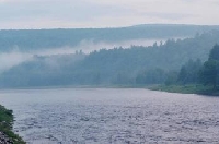 Maine Hunting Land for Sale and Land for Lease in Maine