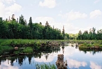 Michigan Hunting Land for Sale and Land for Lease in Michigan