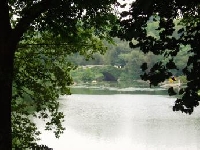 New York Hunting Land for Sale and Land for Lease in New York