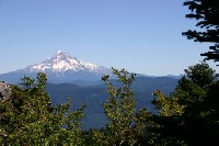 Oregon Hunting Land for Sale and Land for Lease in Oregon