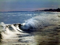 Rhode Island Hunting Land for Sale and Land for Lease in Rhode Island