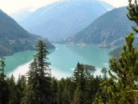 Washington Hunting Land for Sale and Land for Lease in Washington