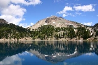 California Hunting